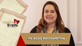 Explica Direito Filiação Socioafetiva  2019 [upl. by Jala322]