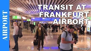 TRANSIT WALK AT FRANKFURT Airport FRA Terminal 1  Connection Flight Transfer Arriving amp Departing [upl. by Hoseia]